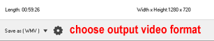 choose output video format