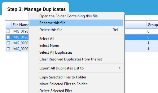 Manage Duplicate Photos